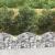 Coș gabion arcuit, 100x30x40/60 cm, fier galvanizat GartenMobel Dekor