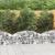 Coș gabion arcuit, 150x50x40/60 cm, fier galvanizat GartenMobel Dekor