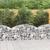 Coș gabion arcuit, 150x50x60/80 cm, fier galvanizat GartenMobel Dekor