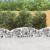 Coș gabion arcuit, 200x30x40/60 cm, fier galvanizat GartenMobel Dekor