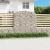 Coș gabion arcuit 200x30x200/220 cm fier galvanizat GartenMobel Dekor