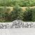 Coș gabion arcuit, 200x50x40/60 cm, fier galvanizat GartenMobel Dekor