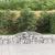 Coș gabion arcuit 300x30x40/60 cm, fier galvanizat GartenMobel Dekor