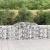 Coș gabion arcuit, 300x30x80/100 cm, fier galvanizat GartenMobel Dekor