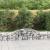 Coș gabion arcuit, 300x50x40/60 cm, fier galvanizat GartenMobel Dekor
