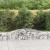 Coș gabion arcuit 400x30x40/60 cm fier galvanizat GartenMobel Dekor