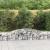 Coș gabion arcuit 400x50x40/60 cm fier galvanizat GartenMobel Dekor