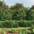 Gard plasă de sârmă cu bordură, verde, 1,4x25 m GartenMobel Dekor