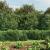 Gard plasă de sârmă cu bordură, verde, 2,2x25 m GartenMobel Dekor