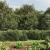 Gard plasă de sârmă cu bordură, antracit, 1,8x25 m GartenMobel Dekor