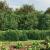 Gard plasă de sârmă, verde, 2,2x10 m, oțel galvanizat GartenMobel Dekor