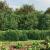 Gard plasă de sârmă cu bordură, verde, 2x10 m GartenMobel Dekor