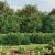 Gard plasă de sârmă cu bordură, verde, 1,8x25 m GartenMobel Dekor