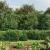 Gard plasă de sârmă cu bordură, verde, 1,4x10 m GartenMobel Dekor