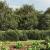 Gard plasă de sârmă cu bordură, antracit, 2,2x25 m GartenMobel Dekor