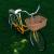 Coș frontal bicicletă cu capac, 50x45x35 cm, salcie naturală GartenMobel Dekor