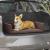 Pat câini pentru portbagaj, maro, 70x45 cm, aspect in GartenMobel Dekor