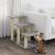 Ansamblu pisici, stâlpi din funie sisal, gri deschis, 50,5 cm GartenMobel Dekor