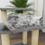 Ansamblu pisici, stâlpi din funie sisal, gri deschis, 50,5 cm GartenMobel Dekor