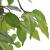 Ficus pitic artificial cu ghiveci, 60 cm GartenMobel Dekor