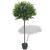 Dafin artificial cu ghiveci, 125 cm, verde GartenMobel Dekor