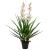 Plantă artificială Orhidee Cymbidium cu ghiveci 100 cm verde GartenMobel Dekor