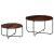 Set masă de cafea, 2 piese, lemn masiv de sheesham, 60 x 35 cm GartenMobel Dekor
