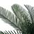Plantă artificială palmier cycas cu ghiveci, verde, 125 cm GartenMobel Dekor