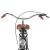 Holland Dutch Bicicletă 28 inci roată 57 cm cadru masculin GartenMobel Dekor