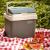 LADA FRIGORIFICA PORTABILA 21L CAMRY EuroGoods Quality