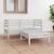 Set mobilier de grădină, 3 piese, alb, lemn masiv de pin GartenMobel Dekor