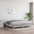 Cadru de pat box spring, gri deschis, 200x200 cm, textil GartenMobel Dekor