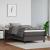 Cadru de pat box spring, gri, 100x200 cm, piele ecologică GartenMobel Dekor