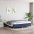 Cadru de pat box spring, albastru, 180x200 cm, textil GartenMobel Dekor