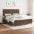 Pat continental cu saltea maro închis 180x200cm material textil GartenMobel Dekor