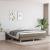 Pat box spring cu saltea, gri taupe, 160x200 cm material textil GartenMobel Dekor