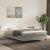 Pat box spring cu saltea, gri deschis, 140x200 cm, catifea GartenMobel Dekor