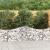 Coșuri gabion arcuite 15 buc, 200x50x60/80 cm, fier galvanizat GartenMobel Dekor