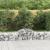 Coșuri gabion arcuite 7 buc, 200x50x40/60 cm, fier galvanizat GartenMobel Dekor