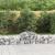 Coșuri gabion arcuite 15 buc, 200x50x40/60 cm, fier galvanizat GartenMobel Dekor