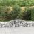 Coșuri gabion arcuite, 5 buc., 300x50x40/60 cm, fier galvanizat GartenMobel Dekor