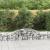 Coșuri gabion arcuite, 17 buc., 300x50x40/60cm, fier galvanizat GartenMobel Dekor