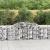 Coșuri gabion arcuite 13 buc, 300x50x80/100 cm, fier galvanizat GartenMobel Dekor