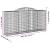 Coșuri gabion arcuite 15 buc, 300x50x140/160cm, fier galvanizat GartenMobel Dekor