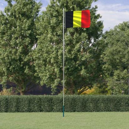 Steag Belgia și stâlp din aluminiu, 6,23 m GartenMobel Dekor