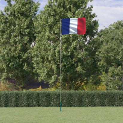 Steag Franța și stâlp din aluminiu, 5,55 m GartenMobel Dekor