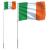 Steag Irlanda și stâlp din aluminiu, 5,55 m GartenMobel Dekor