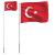Steag Turcia și stâlp din aluminiu, 5,55 m GartenMobel Dekor