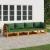 Set mobilier de grădină cu perne verzi, 4 piese, lemn masiv GartenMobel Dekor