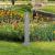 Rezervor de grădină cu robinet, aspect piatră gri deschis GartenMobel Dekor
